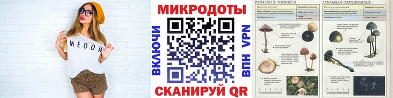Галлюциногенные грибы мицелий  mega ссылки  Кемерово  где купить наркоту 