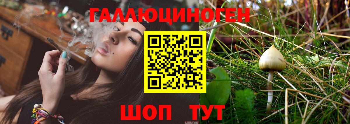 Псилоцибиновые грибы прущие грибы  Вход с VPN  Кемерово 