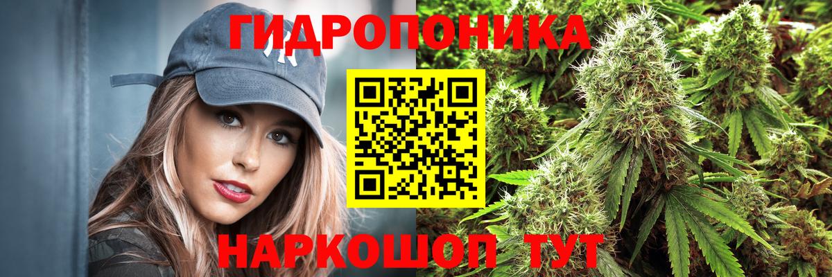 МАРИХУАНА Bruce Banner Кемерово